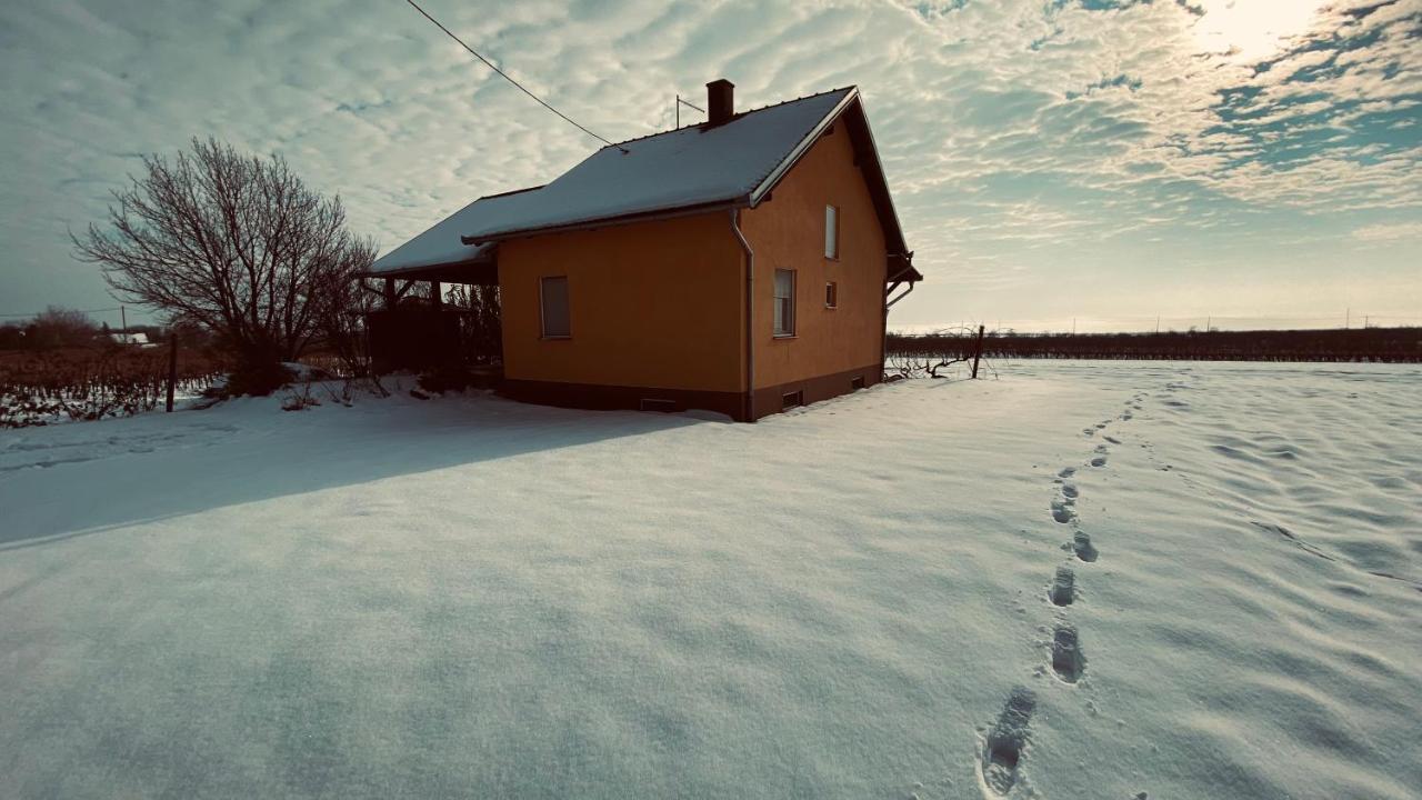 Kuca Za Odmor Brzica Erdut Vila Exterior foto