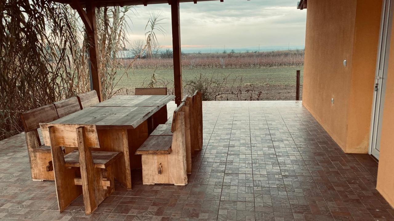 Kuca Za Odmor Brzica Erdut Vila Exterior foto